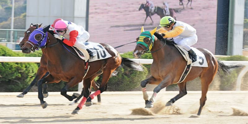 Những ưu điểm nổi bật của kèo đua ngựa soc88